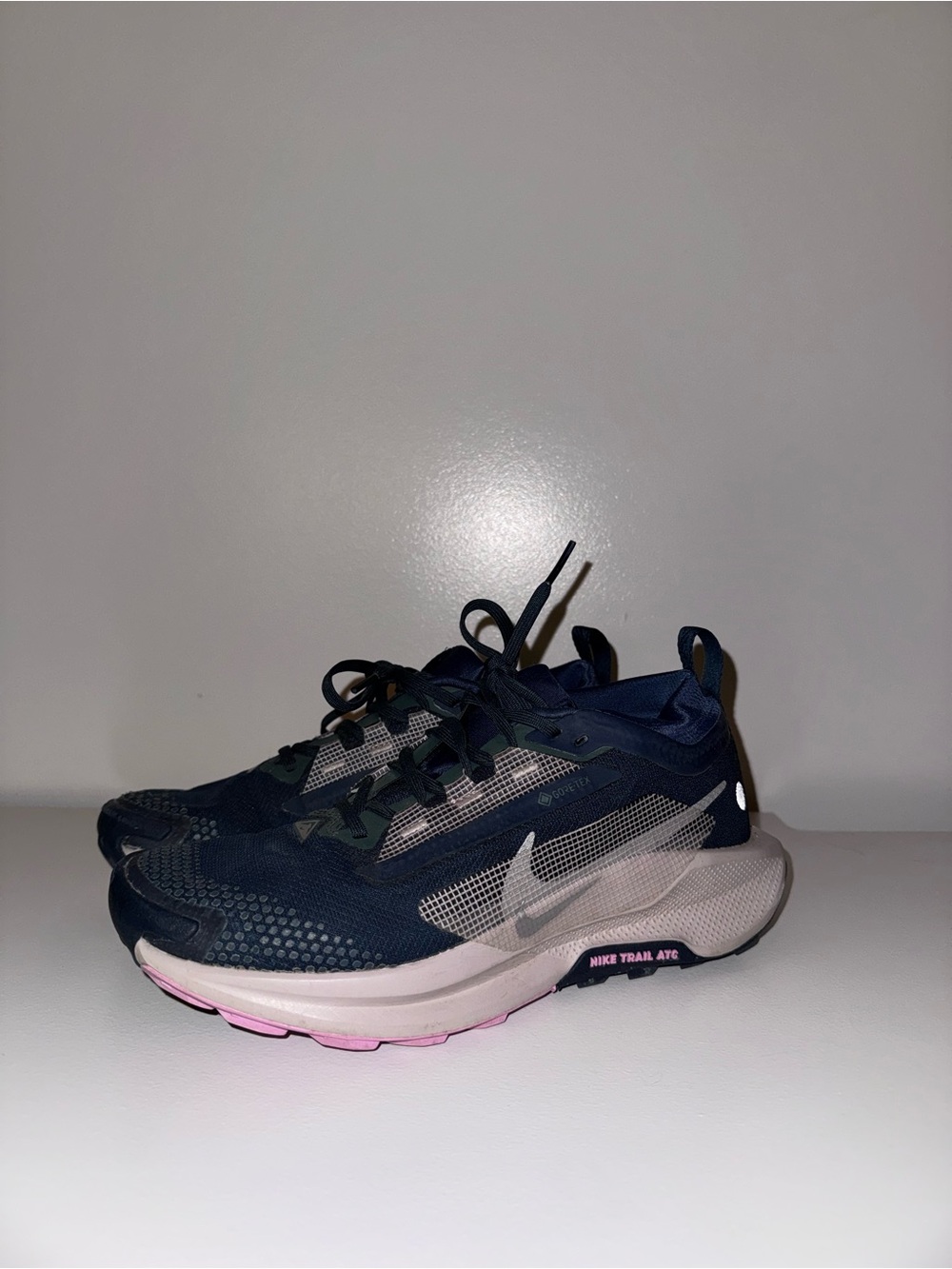 Nike Dark Gore-Tex Trail Shoes